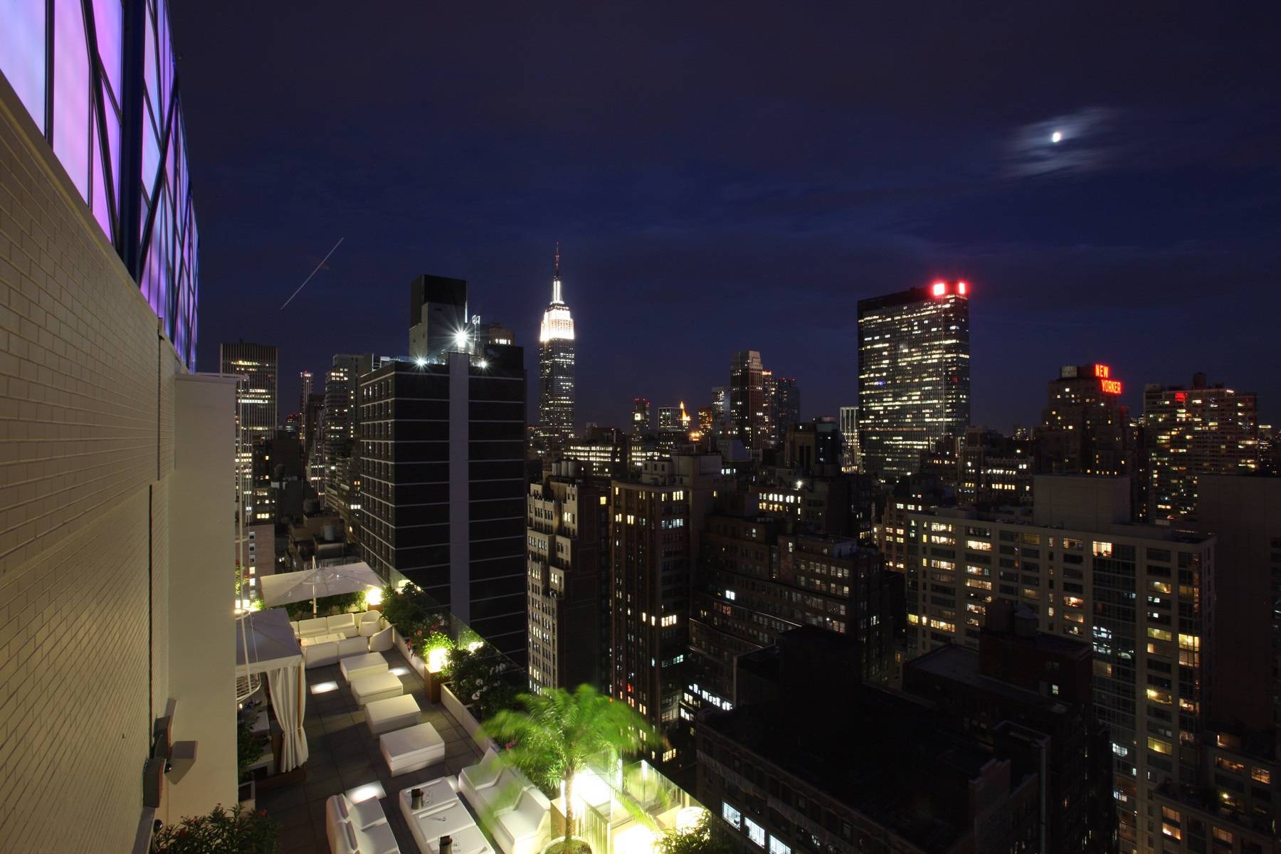 With a View: The Top 5 Views of NYC - Haute Living