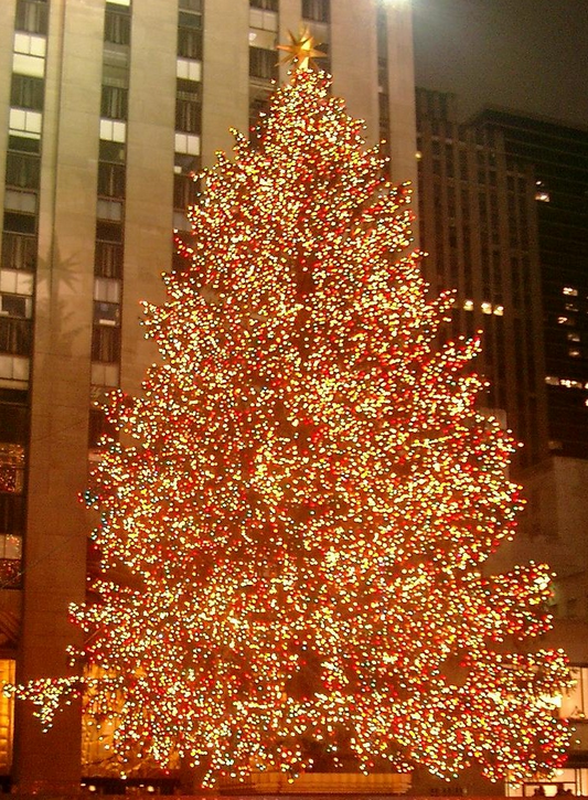 Rockefeller Center Christmas Tree Will Be Lit Tonight