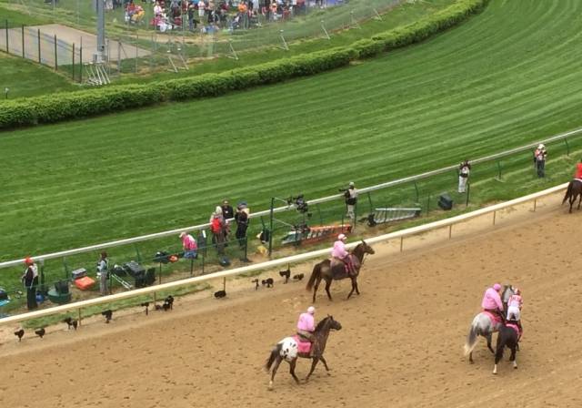 Kentucky Oaks