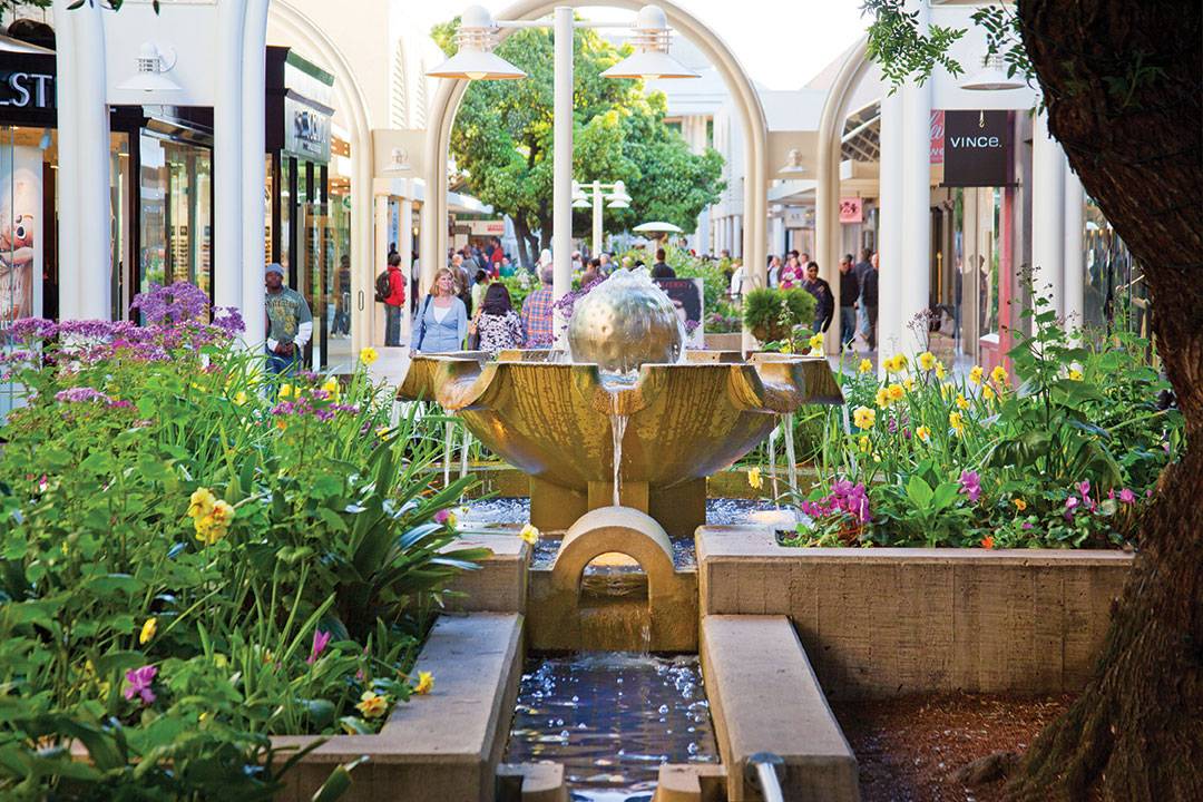 Garden Of Everything: Stanford Shopping Center