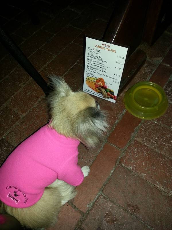 dog-friendly restaurants in sf bay area