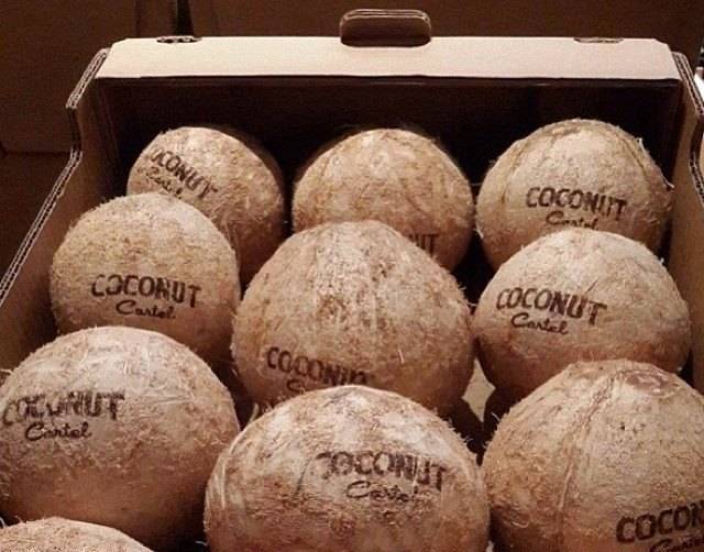 Branded Coconuts