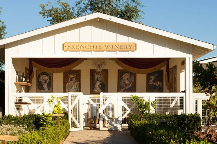 Haute Dog! 5 Top DogFriendly Wineries in Napa Valley