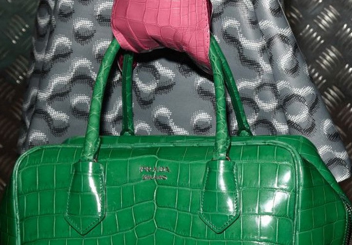 Green croc leather PRADA handbag  Prada handbags, Croc leather