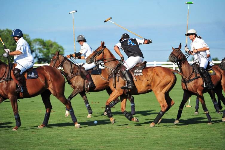 Piaget Hamptons Cup-mosphere, Polo-mosphere
