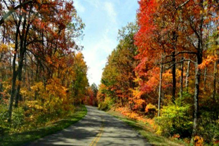 5 Best Autumn Road Trips From Dallas