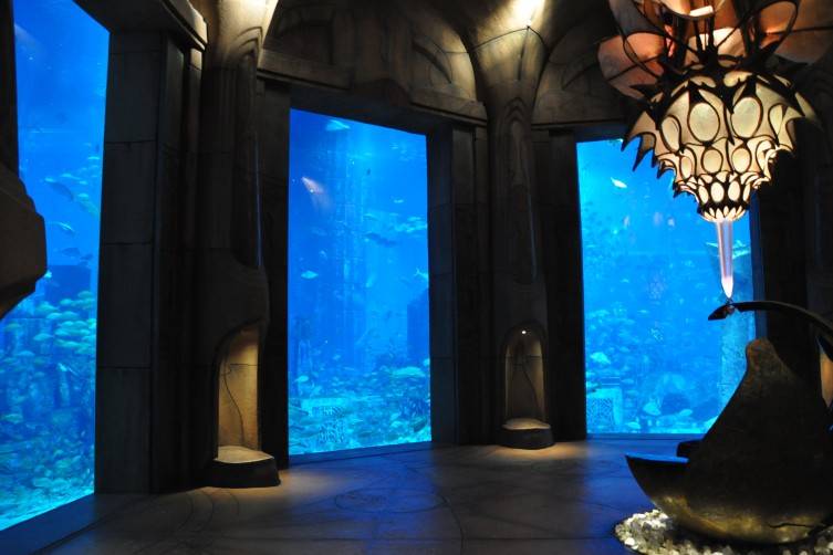The Lost Chambers at the Atlantis Aquarium, Dubai