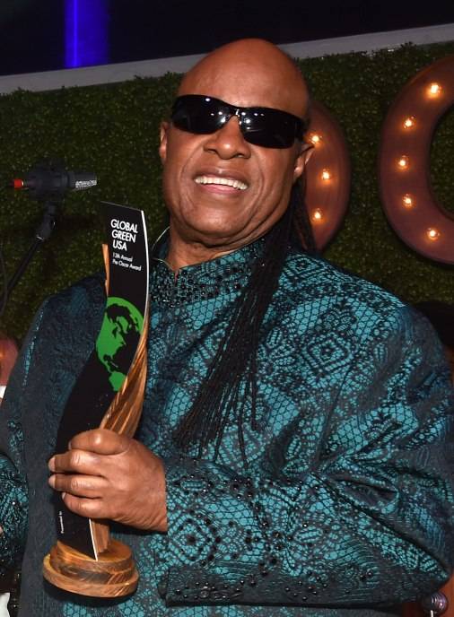 Honoree Stevie Wonder accepts the Global Green Hero Award onstage during Global Green USA's 13th annual pre-Oscar party