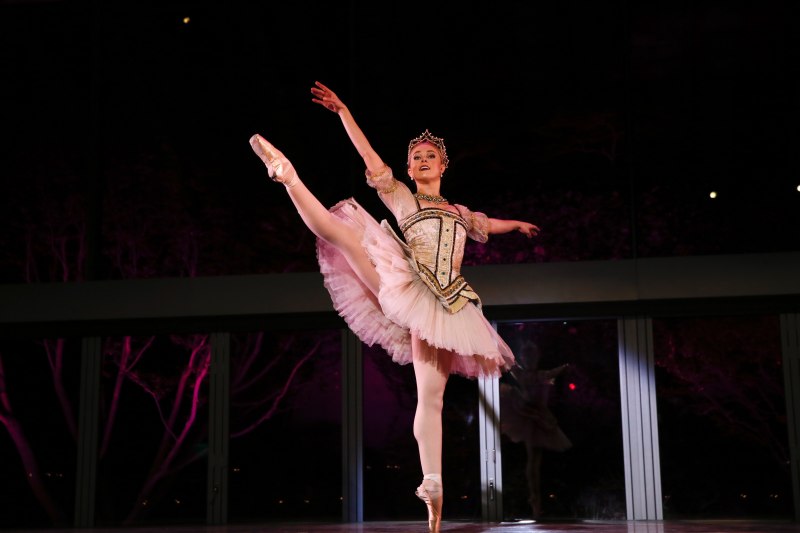 The ballet performance during the Los Angeles Ballet Season 10 Gala 