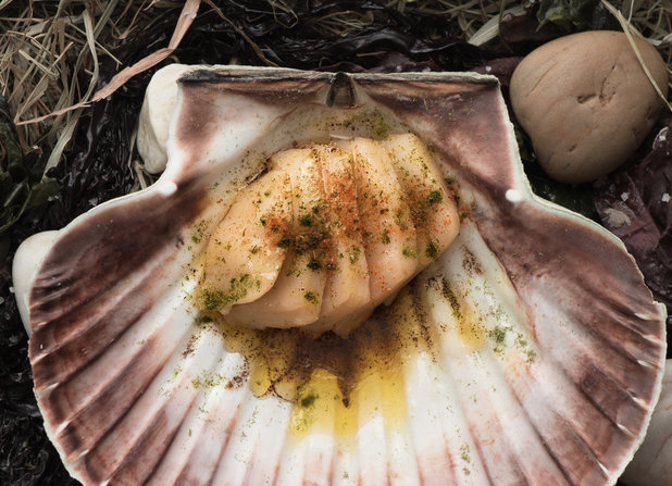 Scallop in its own shell served with dried roe, fir tree, finger lime & dashi.