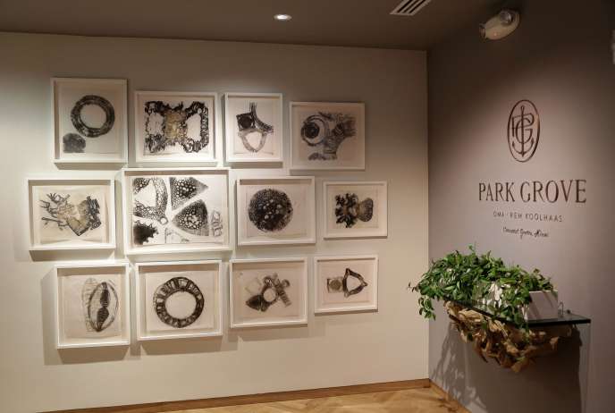 Michele Oka Doner's Exclusive Drawings for Park Grove 