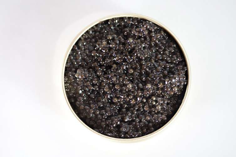 A tin of Caviar Company cavier