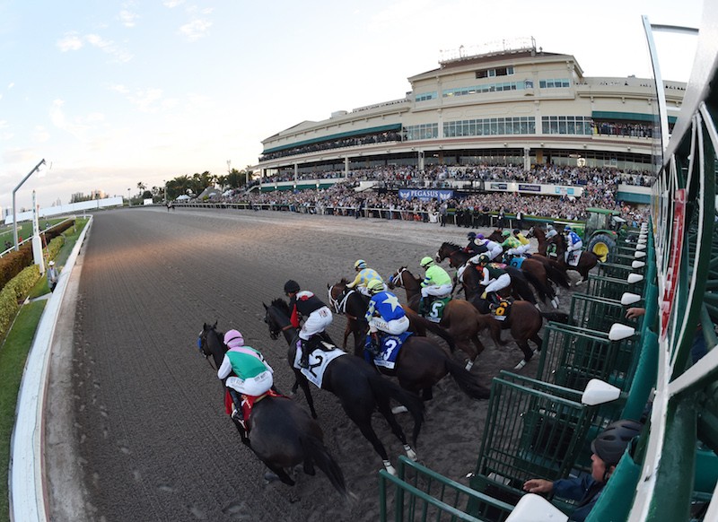 Pegasus, The World's Richest Horse Race, Returns To Miami
