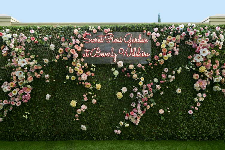 Rosé Garden Wall