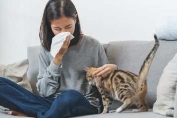 Pet allergies