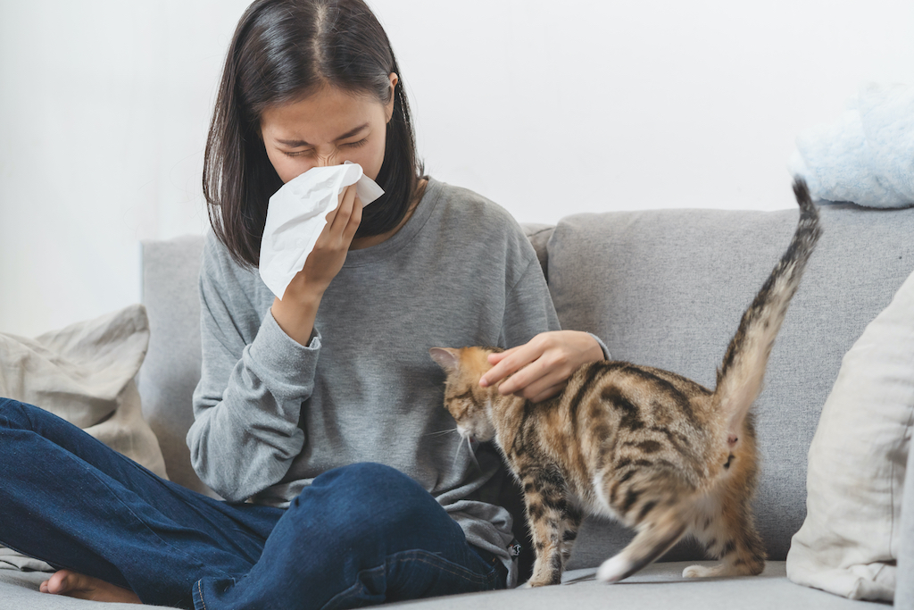 Pet allergies