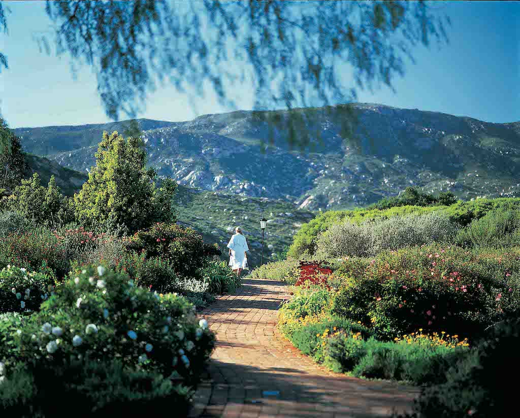 Embark On A Wellness Journey In Nature’s Embrace At Rancho La Puerta Wellness Resort And Spa