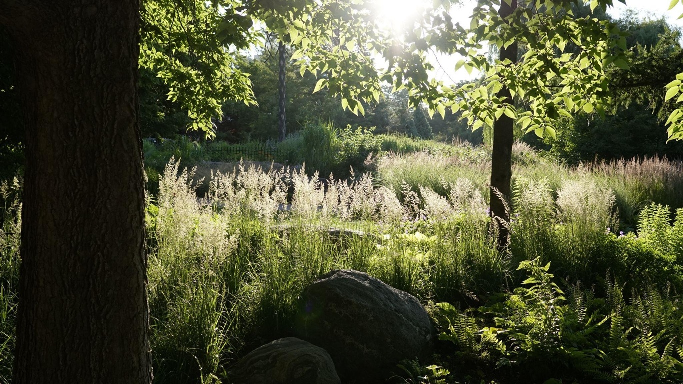 The Modern Guide to Managing Seasonal Allergies