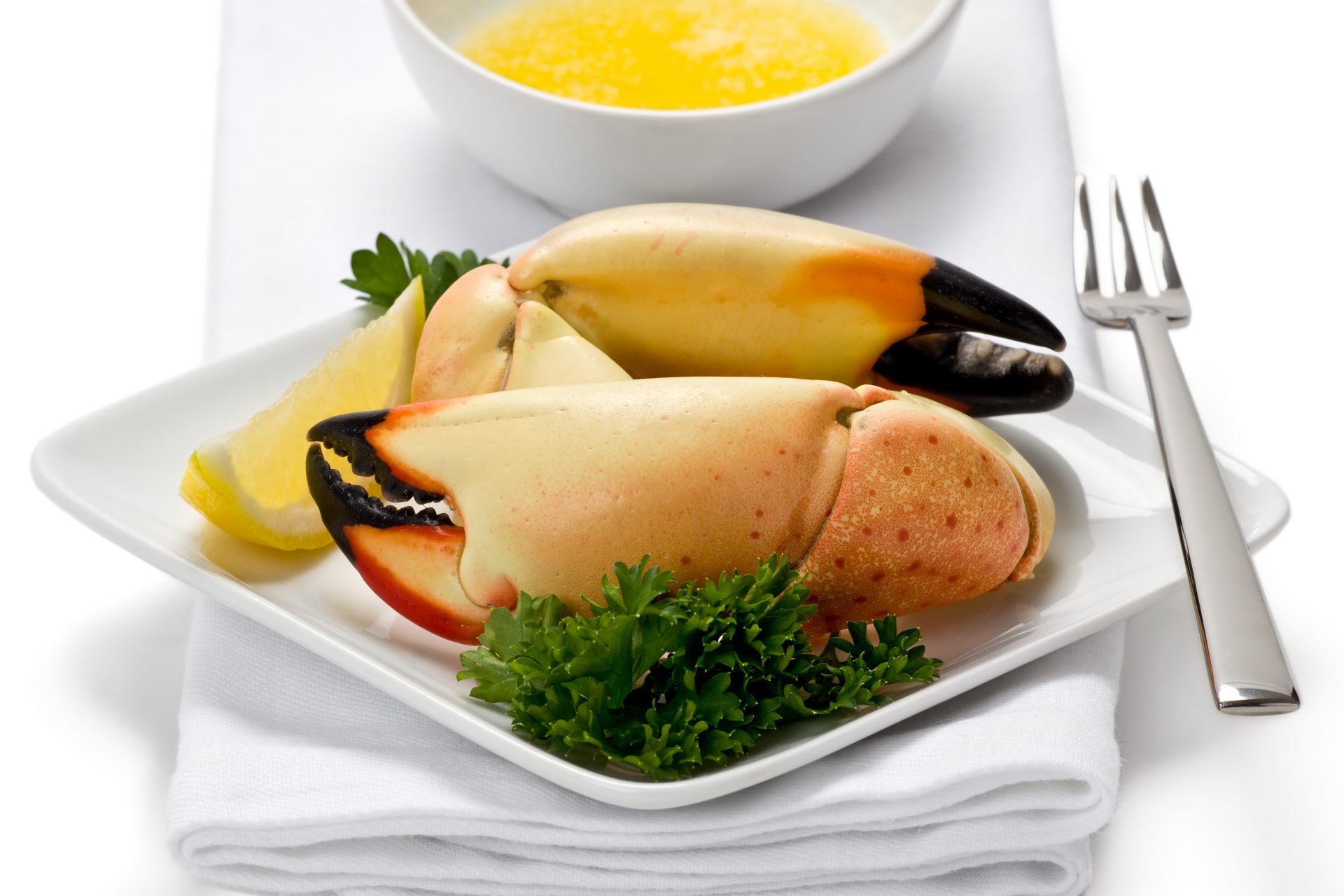 Stone Crabs