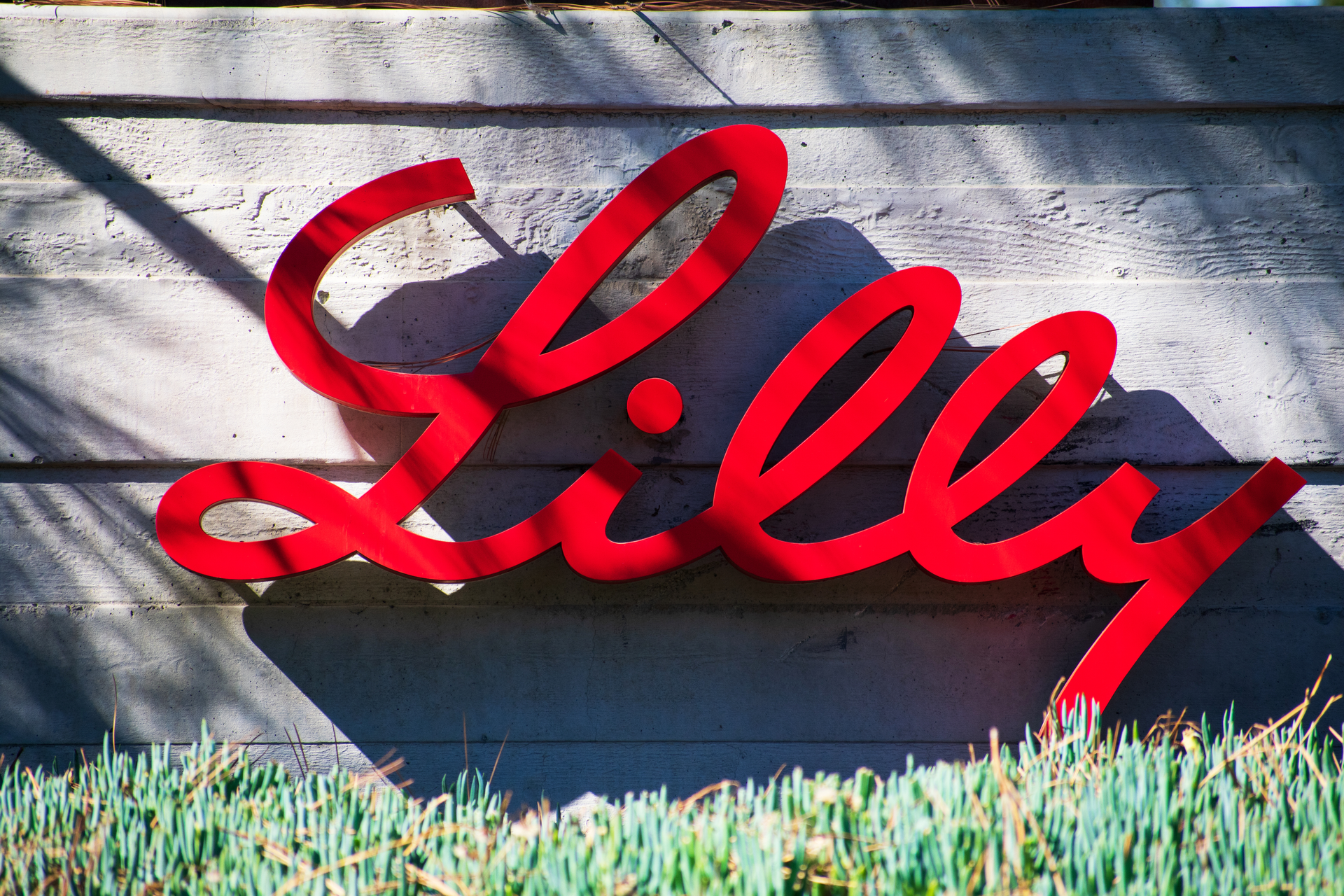 Eli Lilly