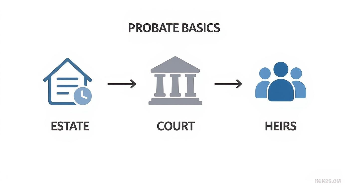 PROBATE BASICS - Haute Lawyer