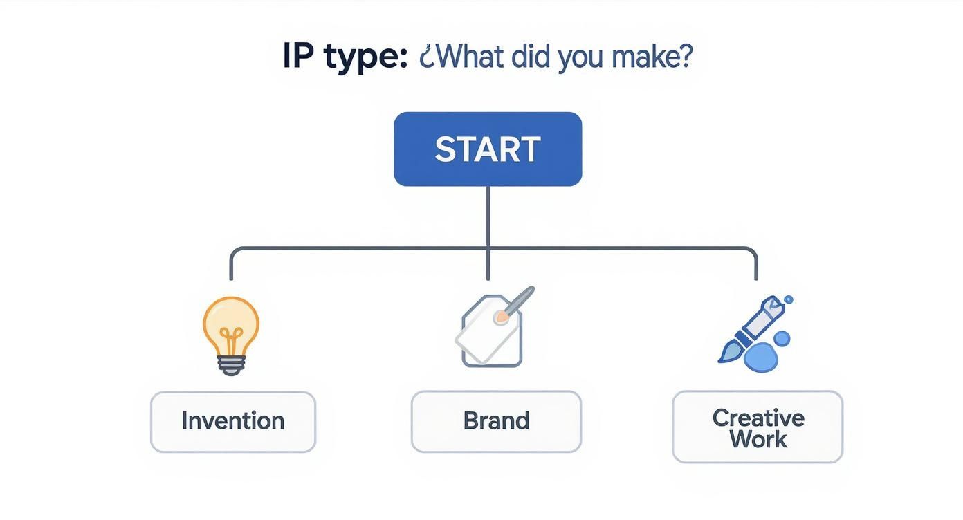 START - Haute Lawyer