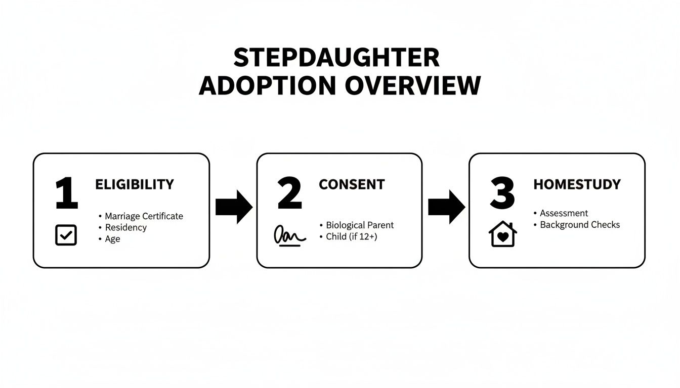 STEPDAUGHTER ADOPTION OVERVIEW - Haute Lawyer