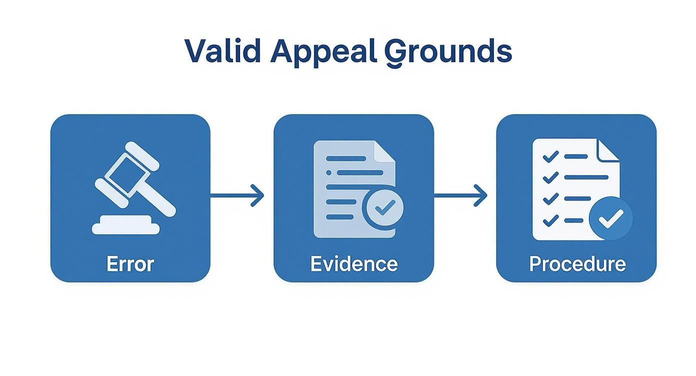 Valid Appeal Grounds - Haute Lawyer