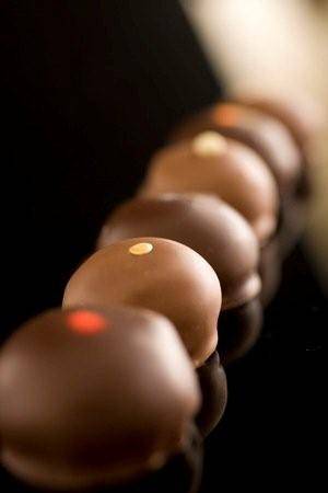 Chocolate Desert Dot line