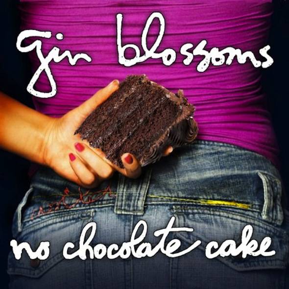 Gin-Blossoms-No-Chocolate-Cake