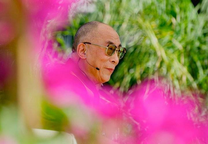 dalai lama surrounded by pink