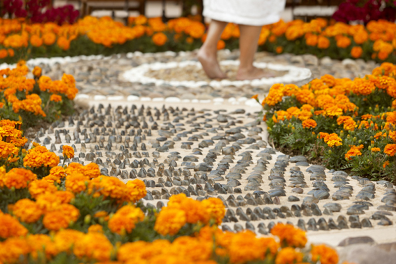 Reflexology-path-horiz-low-res