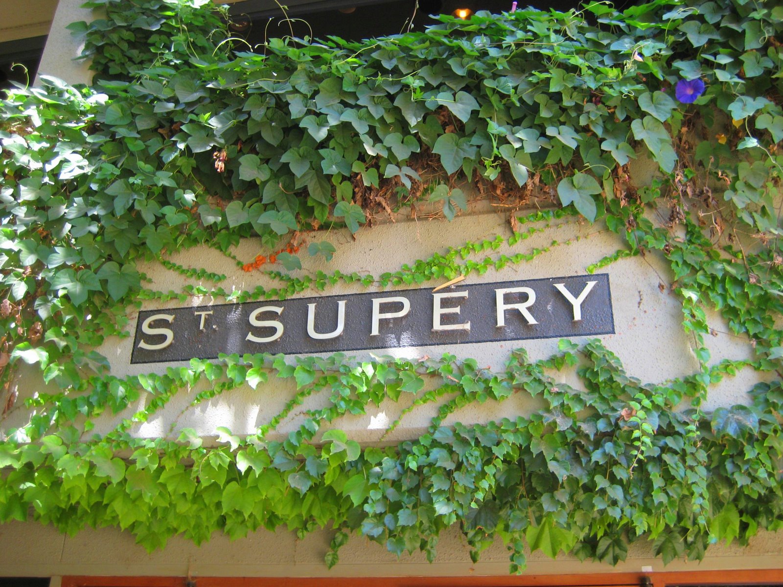 St. Supéry Estate Vineyards and Winery To Host French Inspired Outdoor Concert