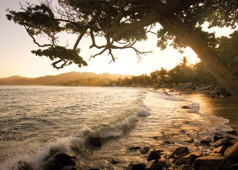 Paradise Found: Turtle Island Resort Fiji