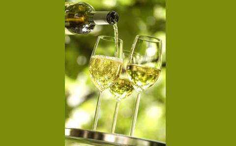 Riesling Website Has Fantastic Interactive Food & Wine-Pairing Tool