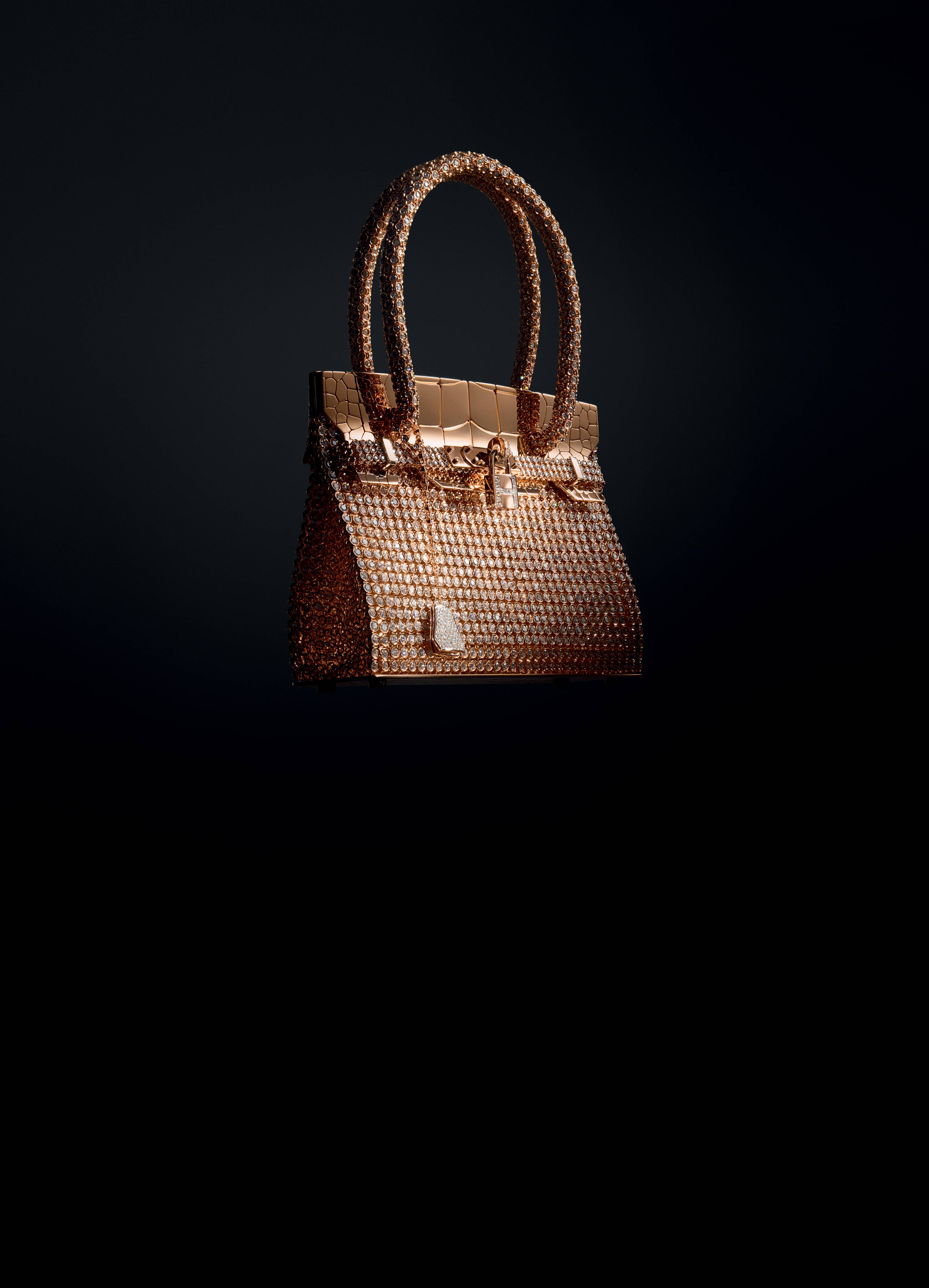 In 2012, Hermès introduced the Sac Bijou Birkin, it's most