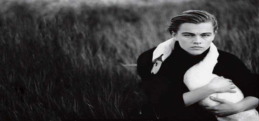 Leonardo_DiCaprio_Portrait_.850