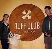 A Look Inside Ruff Club: A Membership-Only Social Club for Dogs