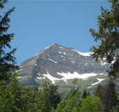 Experience Sundance Right Here in NYC