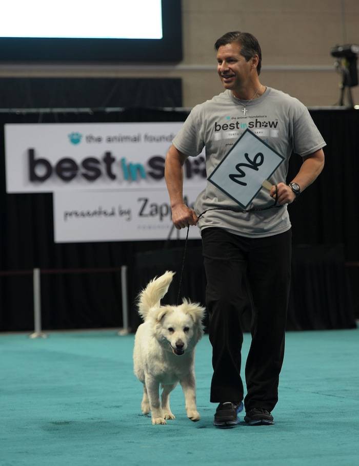 The Animal Foundation's 10th Annual Best In Show at the Orleans Arena