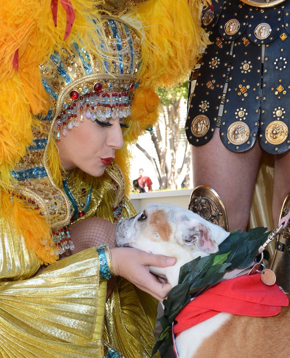 Running of the BullDogs Caesars EntPhotos By Denise Truscello Sept 28 2013