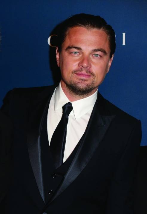 Leonardo DiCaprio, credit WireImage