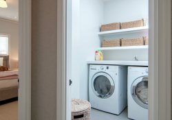 Park Avenue in Presidio Heights