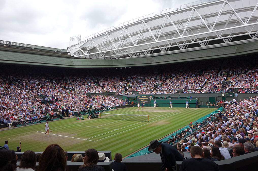 The 2014 Wimbeldon Finals