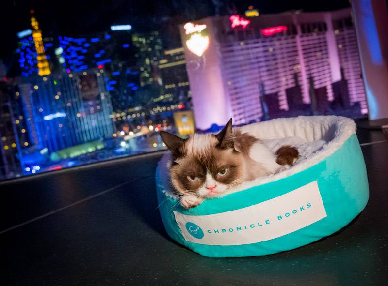 Grumpy Cat Visits Kitson and the High Roller
