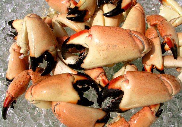 From Seaside to the East Side, Where to Get Stone Crabs in Los Angeles