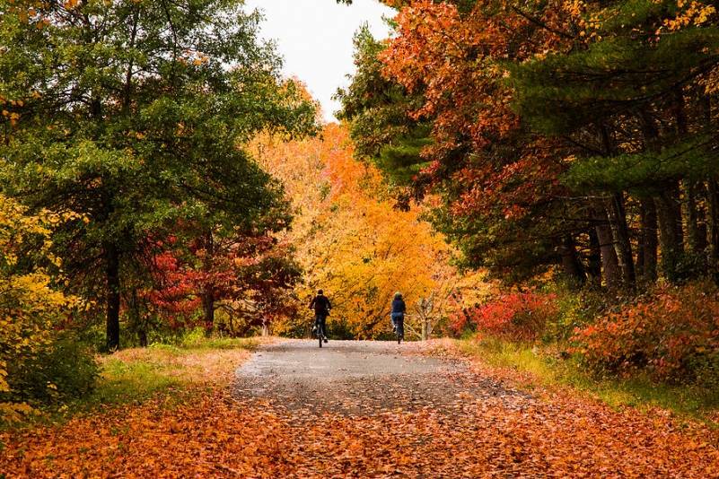 Fall Weekend Guide: What to Do in the Hamptons