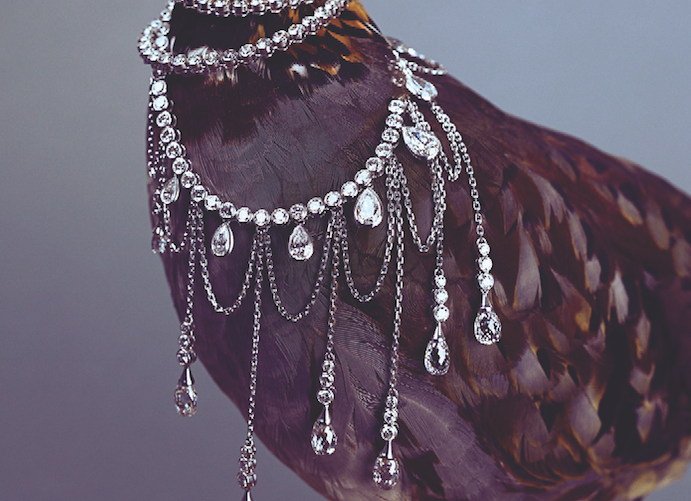 When Extraordinary Birds Meet Extraordinary Designer Jewelry