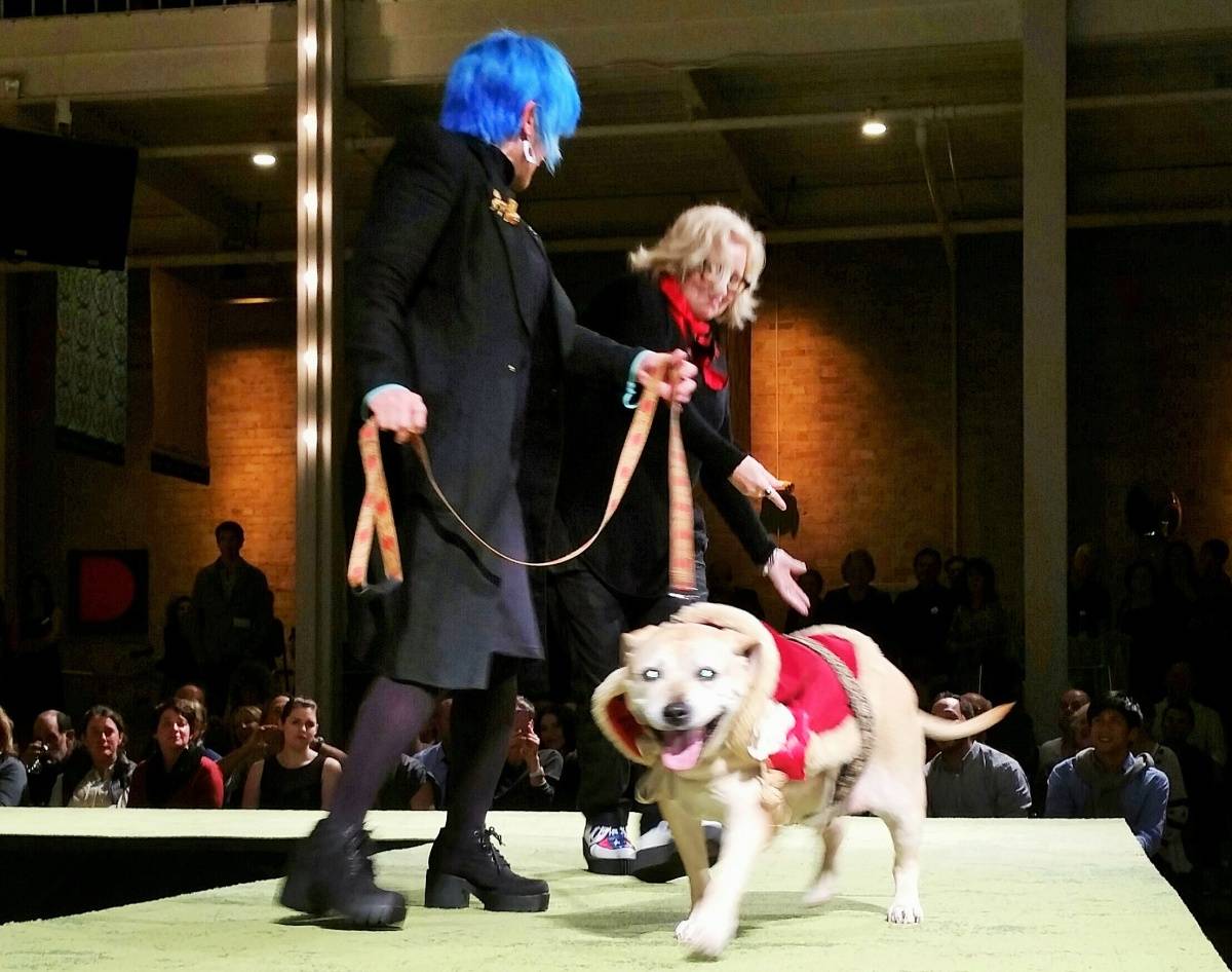 Haute Dog! A Doggie Runway Fashion Show for a Good Cause