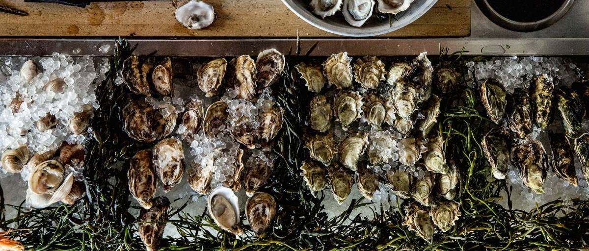 Aw, Shucks! Here’s the Top 5 Places for Oysters in SF